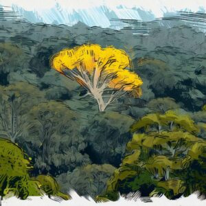 FLORESTA